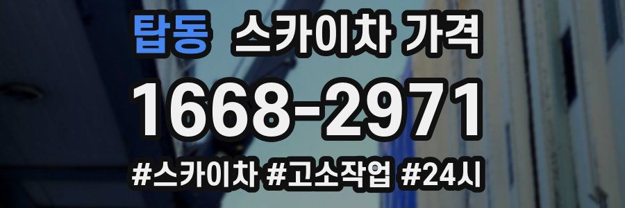 탑동 스카이차 가격