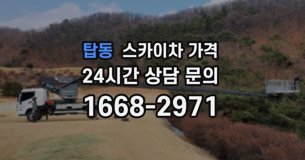 탑동 스카이차 가격