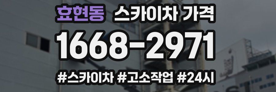 효현동 스카이차 가격