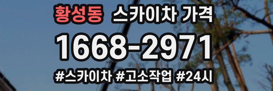 황성동 스카이차 가격