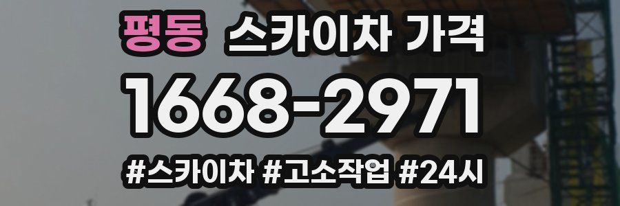 평동 스카이차 가격