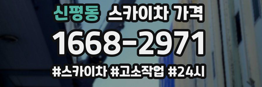 신평동 스카이차 가격