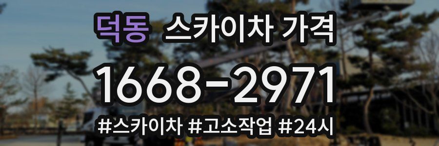 덕동 스카이차 가격