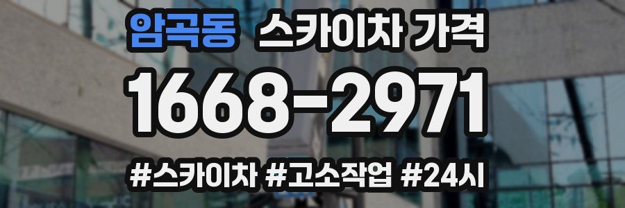 암곡동 스카이차 가격