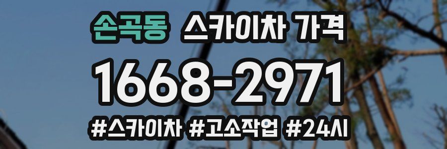 손곡동 스카이차 가격