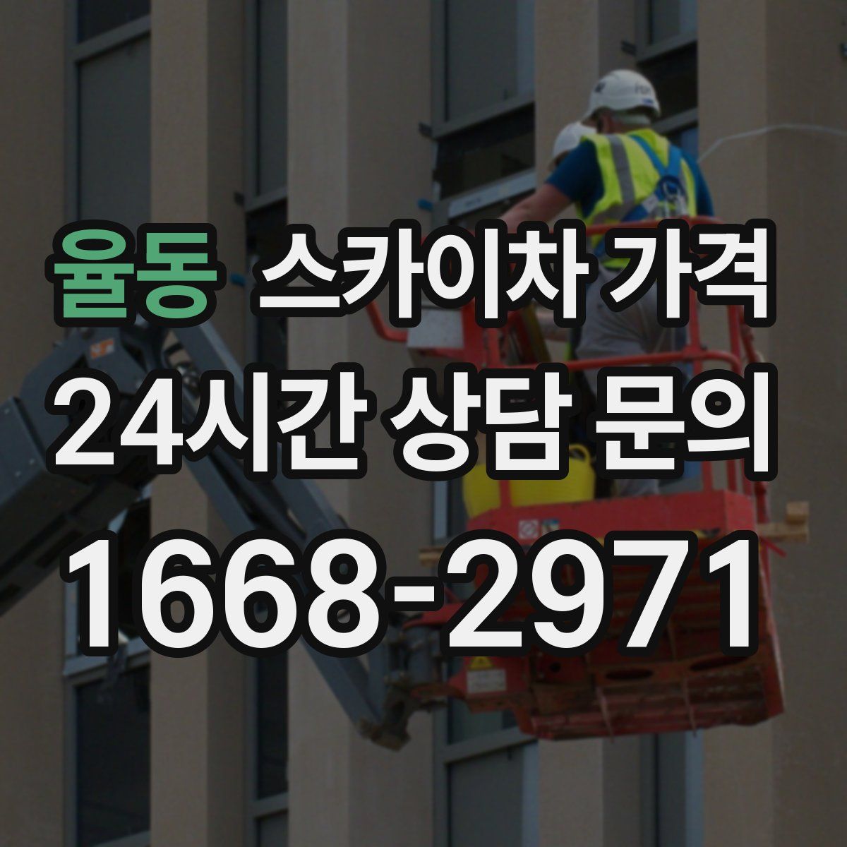 율동 스카이차 가격