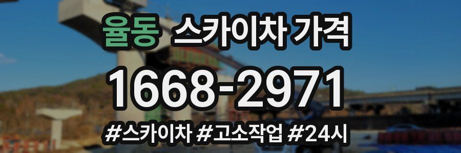 율동 스카이차 가격