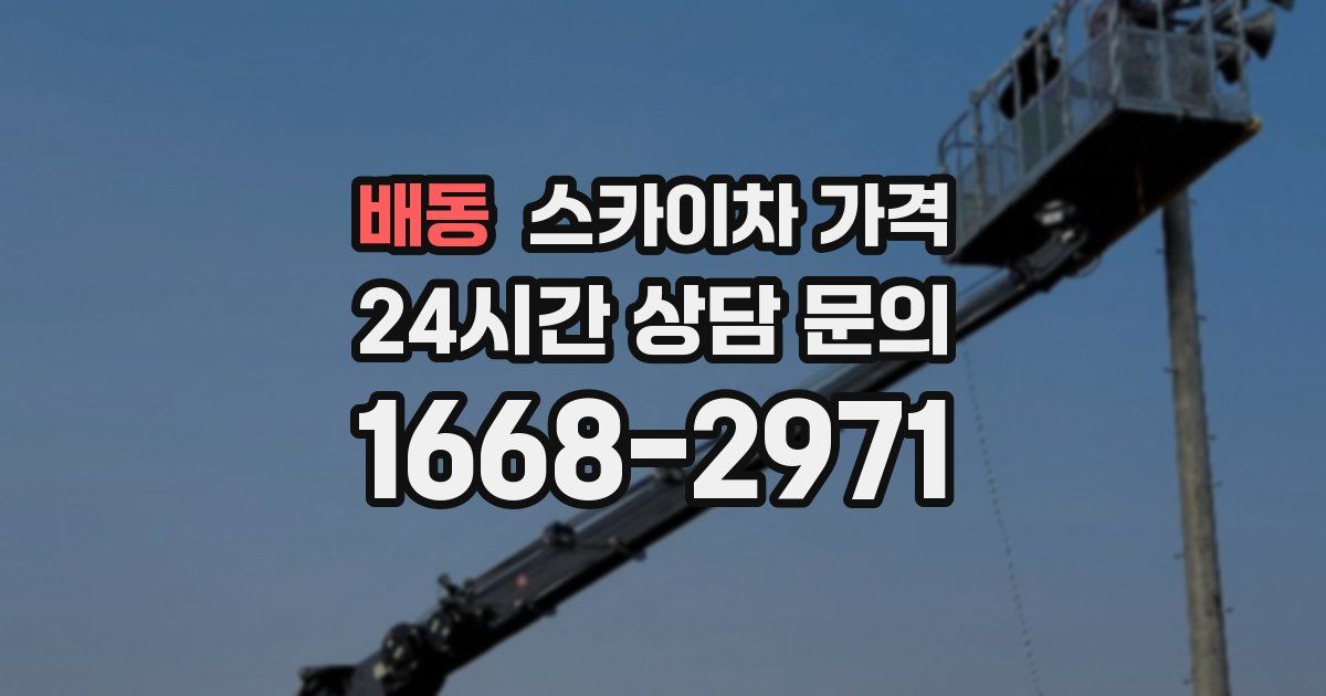 배동 스카이차 가격