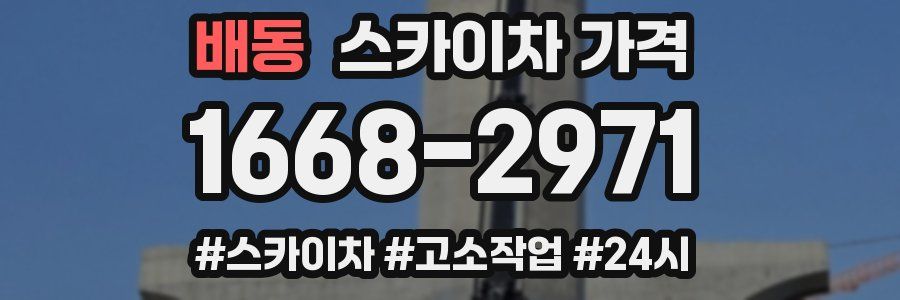 배동 스카이차 가격