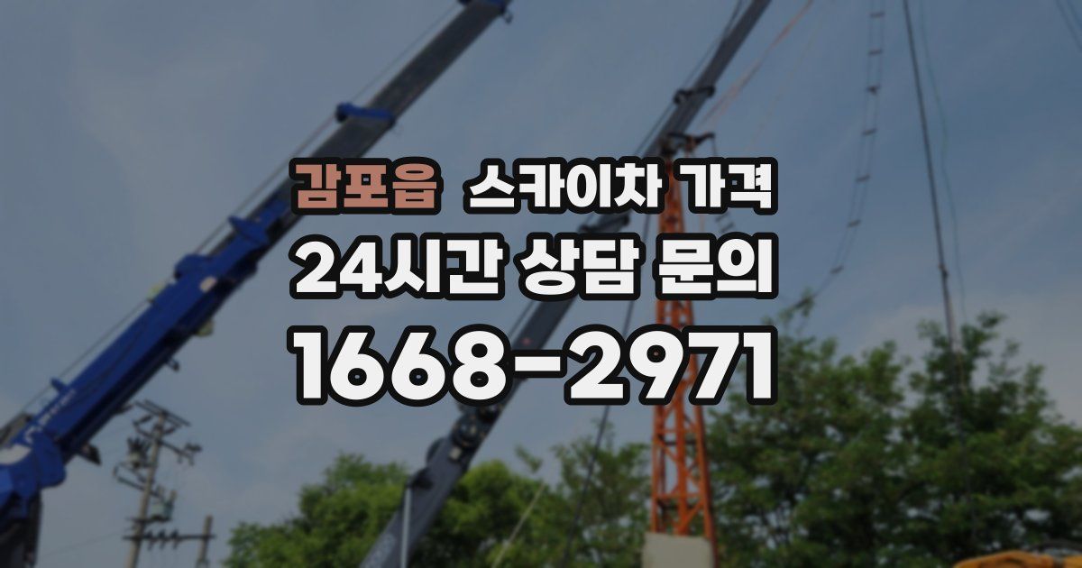 감포읍 스카이차 가격