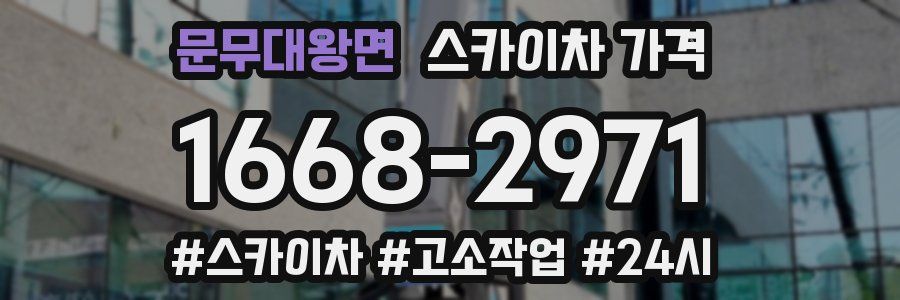 문무대왕면 스카이차 가격