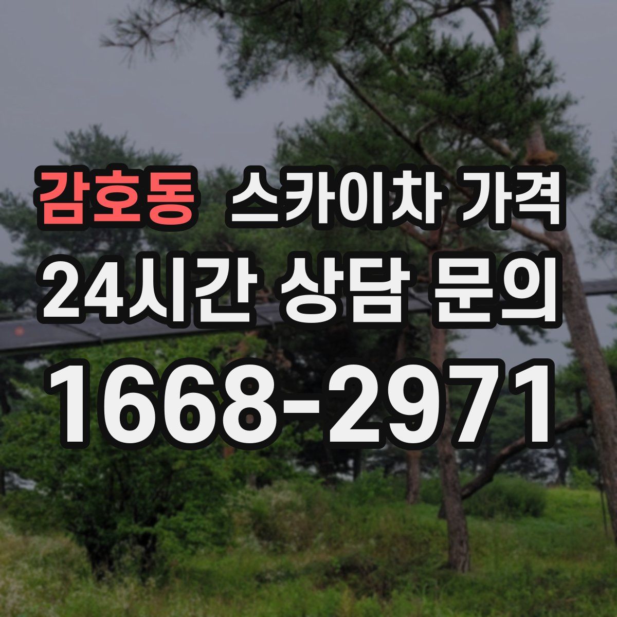 감호동 스카이차 가격