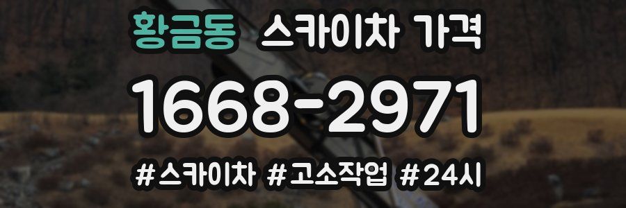 황금동 스카이차 가격