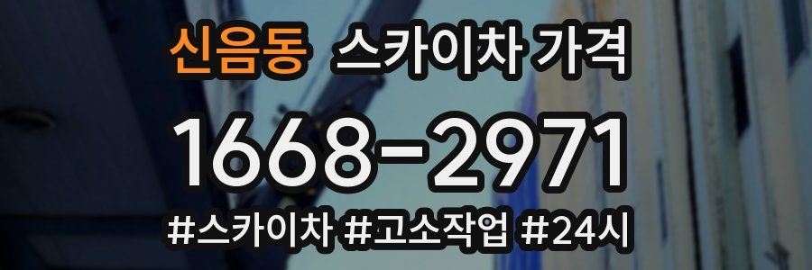 신음동 스카이차 가격
