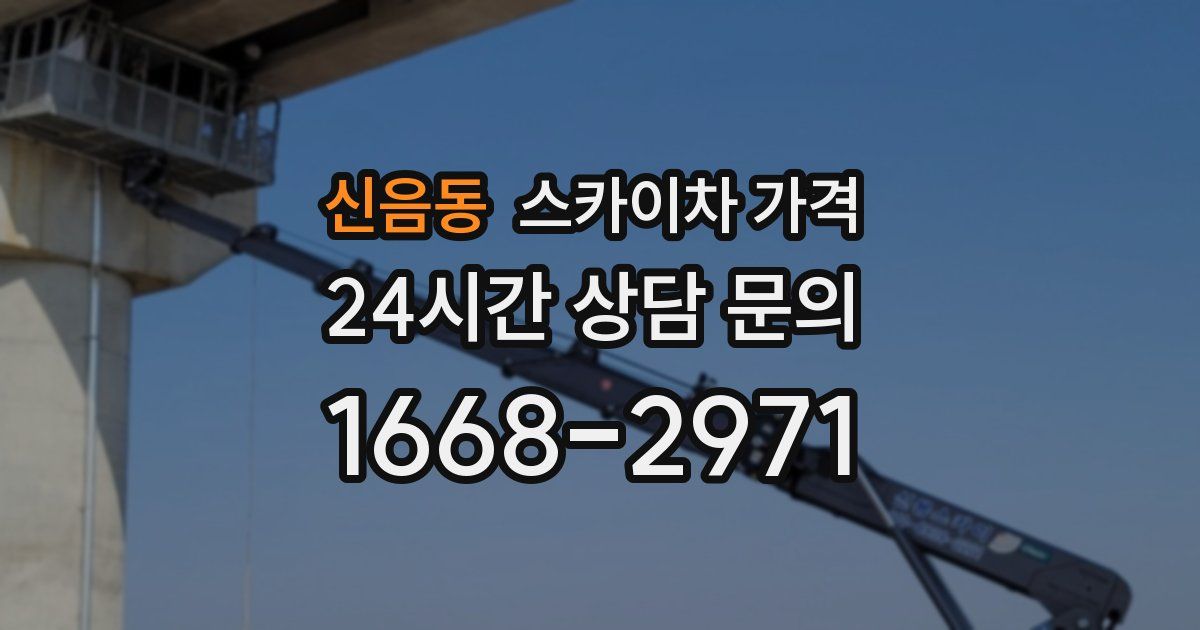 신음동 스카이차 가격