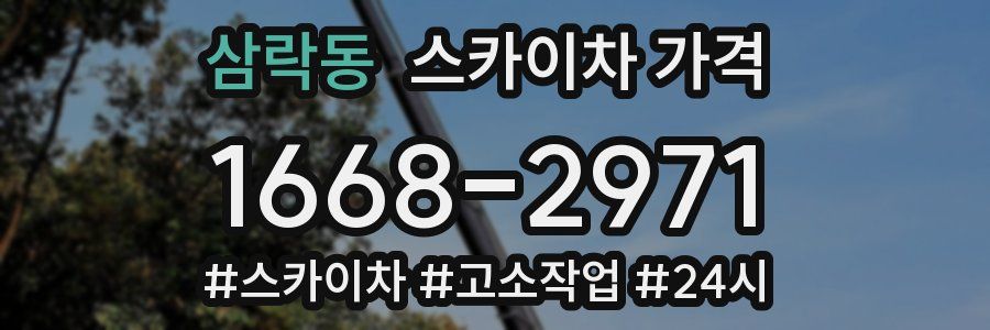 삼락동 스카이차 가격