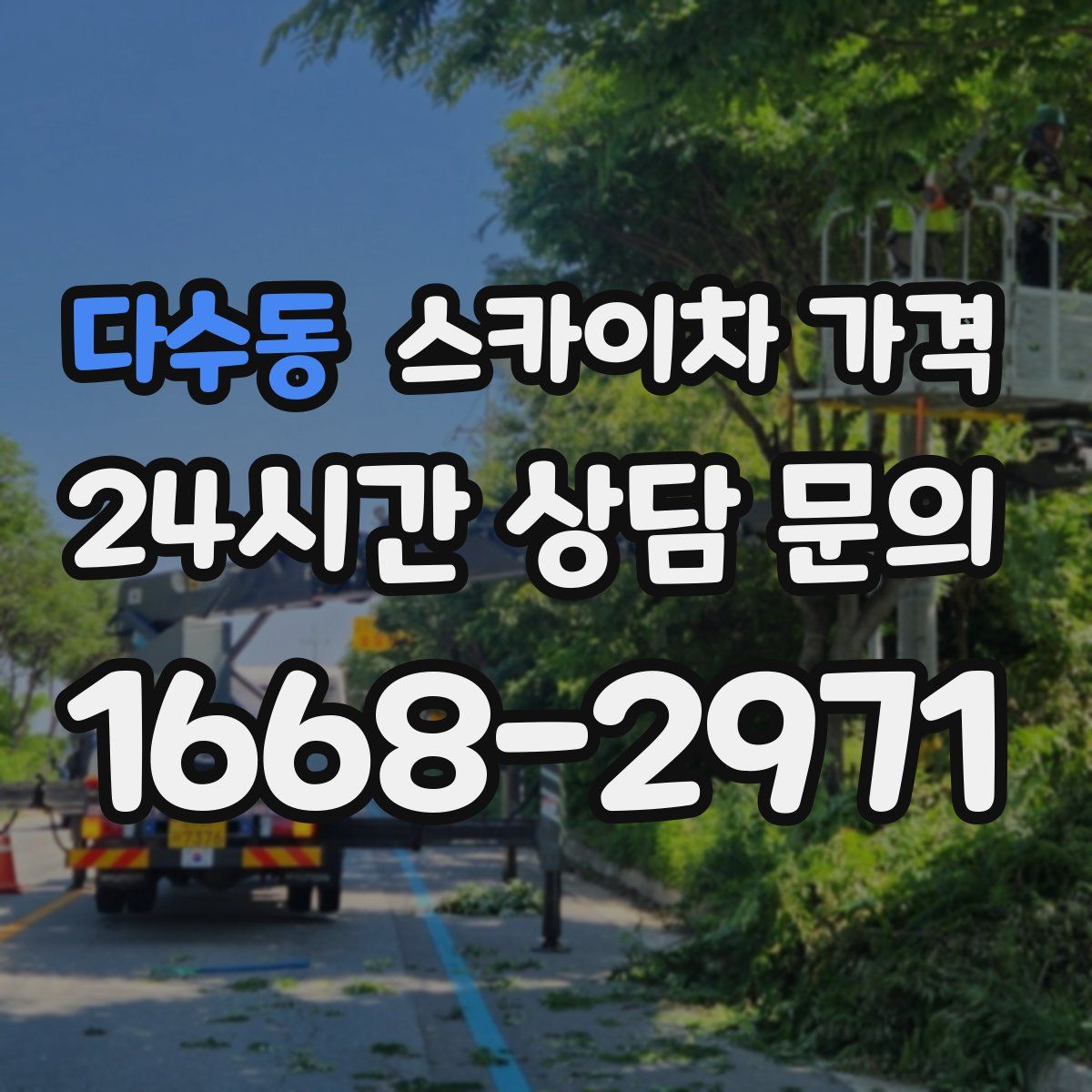 다수동 스카이차 가격