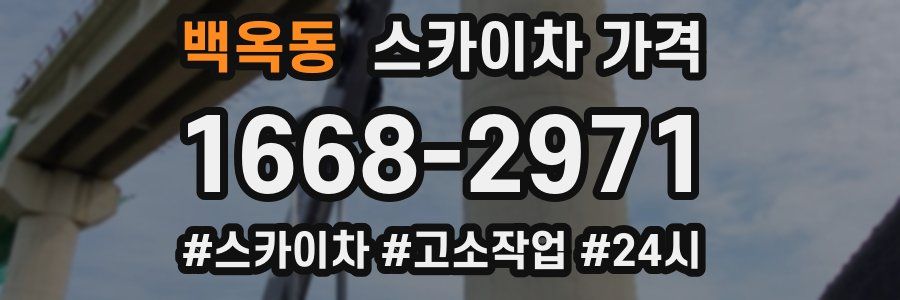 백옥동 스카이차 가격