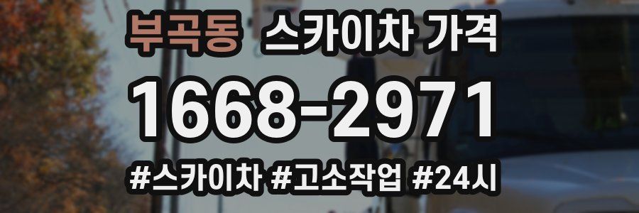 부곡동 스카이차 가격