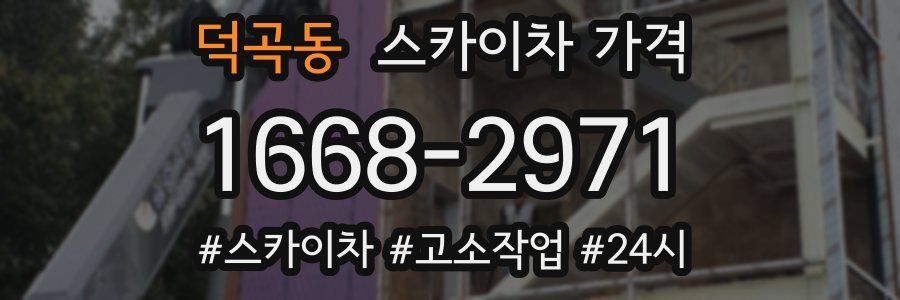 덕곡동 스카이차 가격