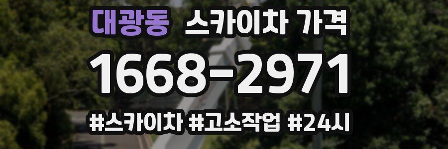 대광동 스카이차 가격