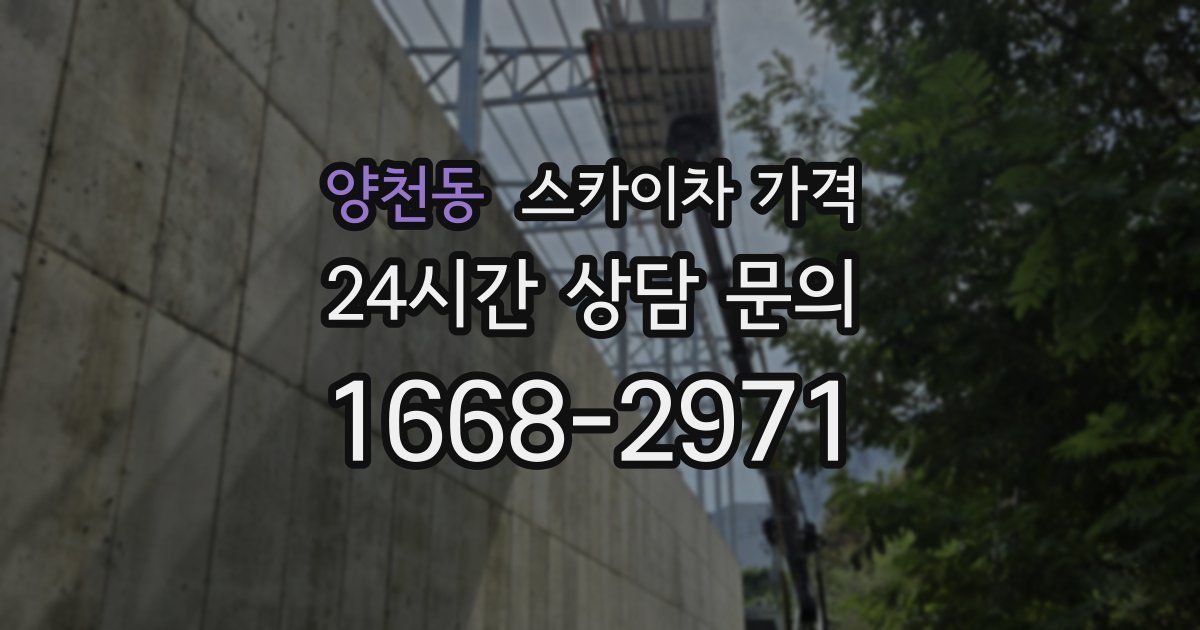 양천동 스카이차 가격