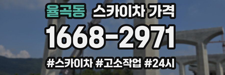 율곡동 스카이차 가격