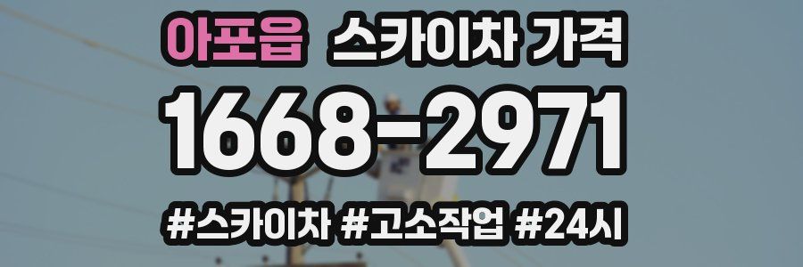 아포읍 스카이차 가격