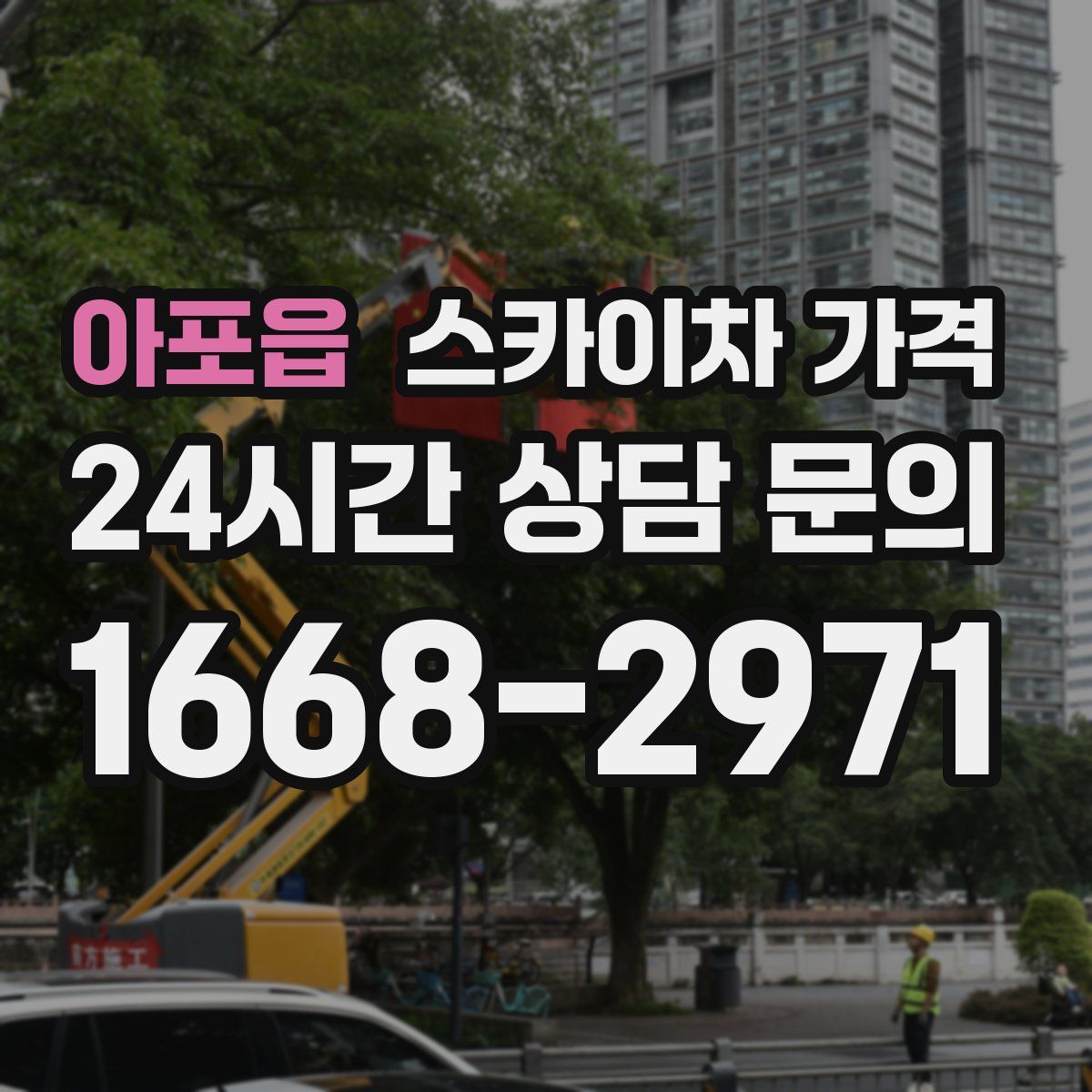 아포읍 스카이차 가격