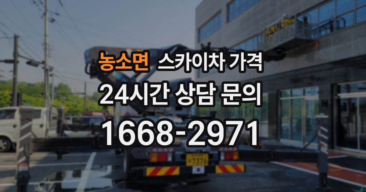 농소면 스카이차 가격