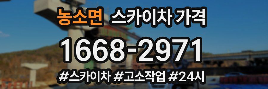 농소면 스카이차 가격