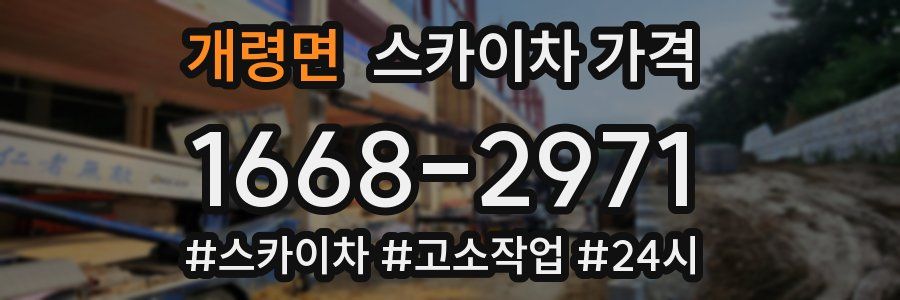 개령면 스카이차 가격