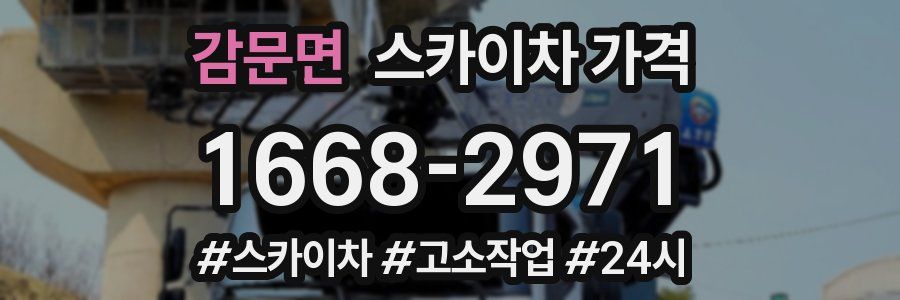 감문면 스카이차 가격