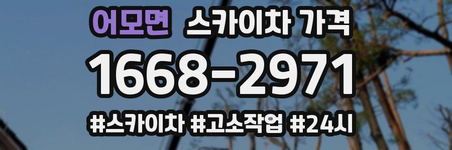 어모면 스카이차 가격