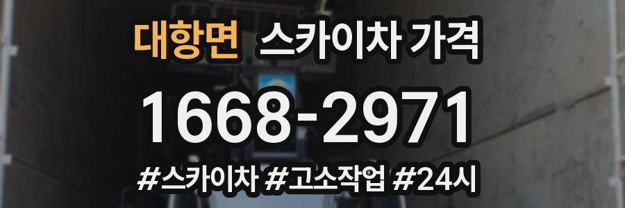 대항면 스카이차 가격