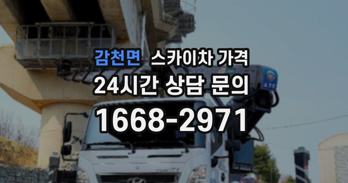 감천면 스카이차 가격