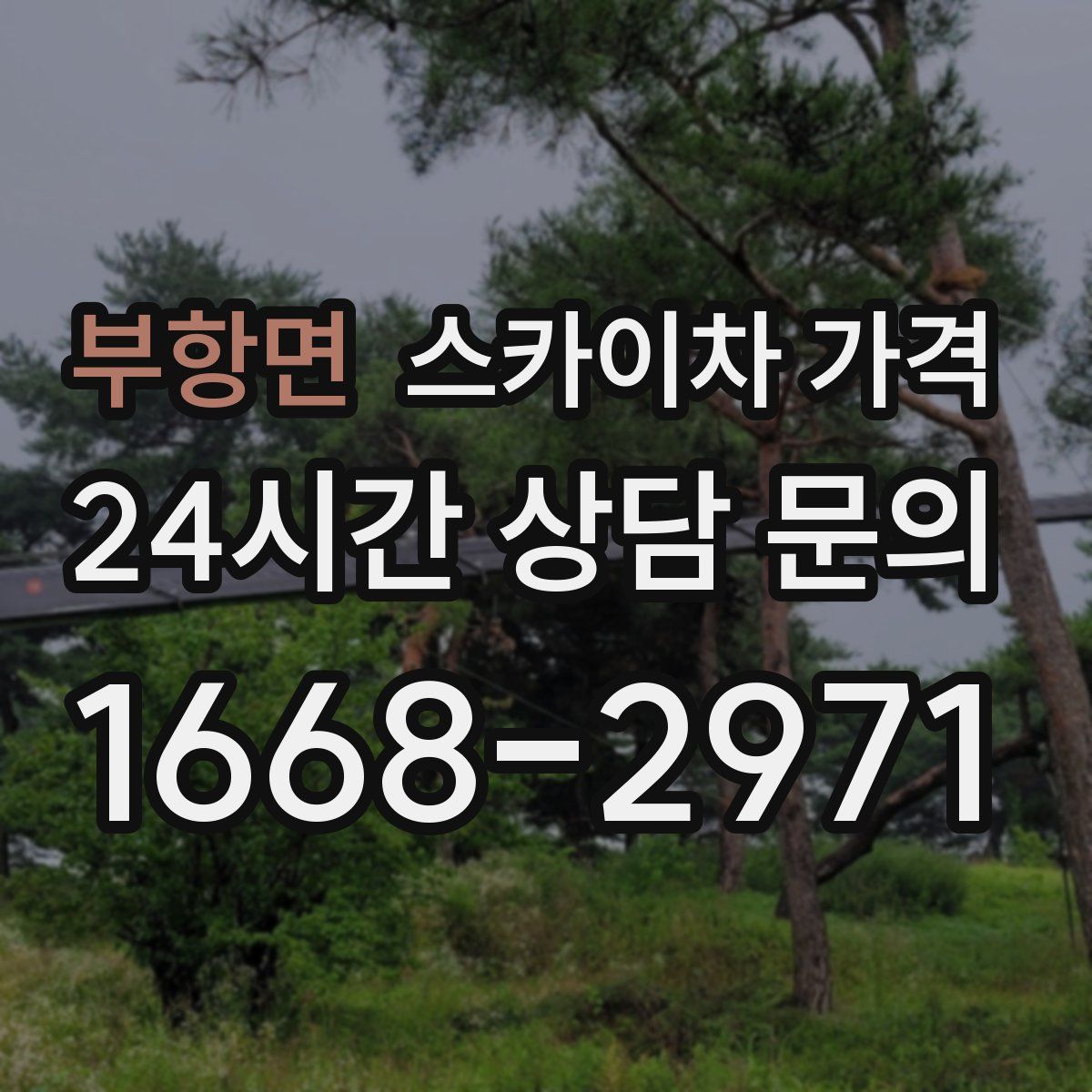 부항면 스카이차 가격