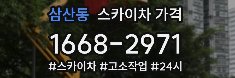 삼산동 스카이차 가격