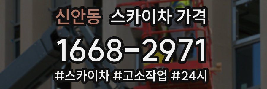 신안동 스카이차 가격