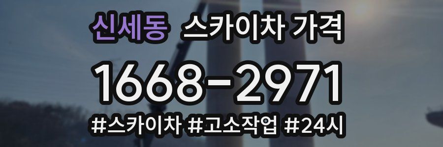 신세동 스카이차 가격