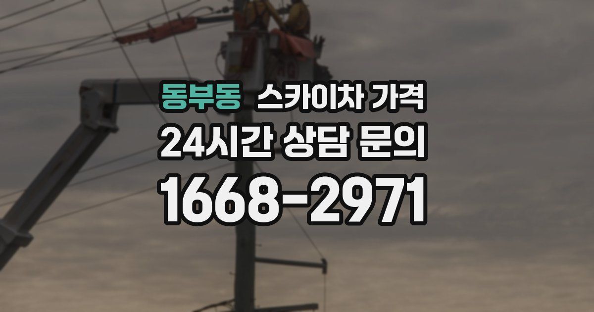 동부동 스카이차 가격