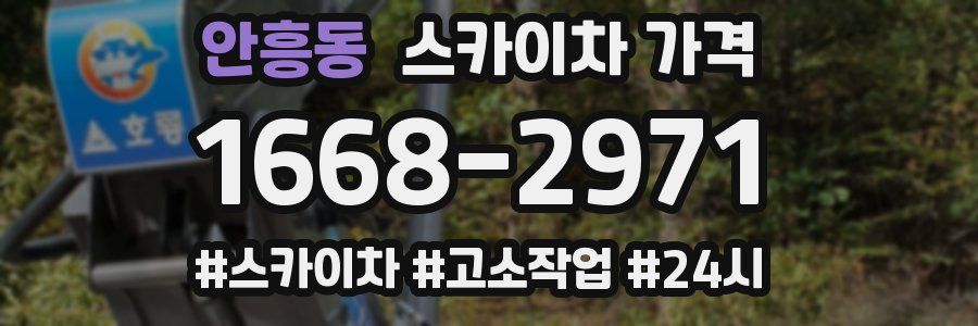 안흥동 스카이차 가격