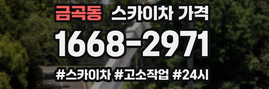 금곡동 스카이차 가격
