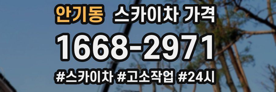 안기동 스카이차 가격