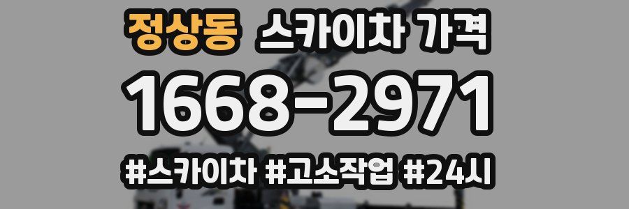 정상동 스카이차 가격