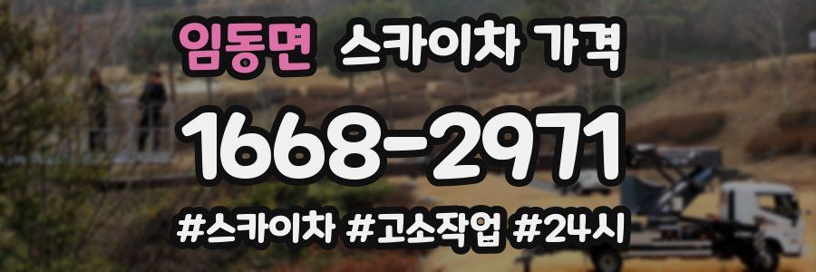 임동면 스카이차 가격