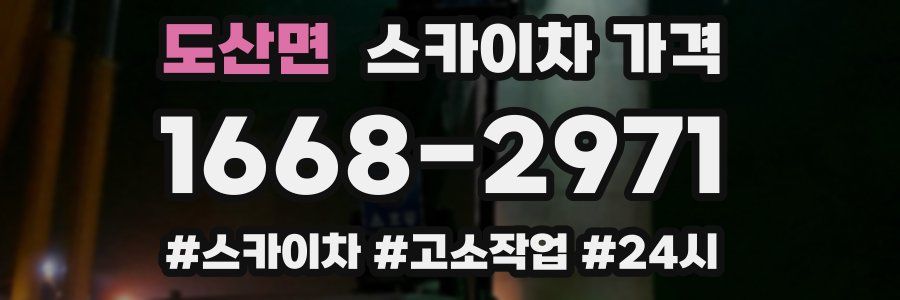 도산면 스카이차 가격