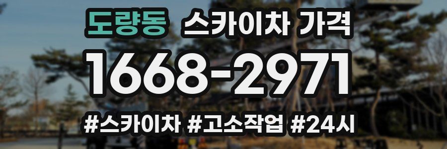 도량동 스카이차 가격