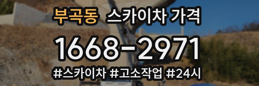 부곡동 스카이차 가격