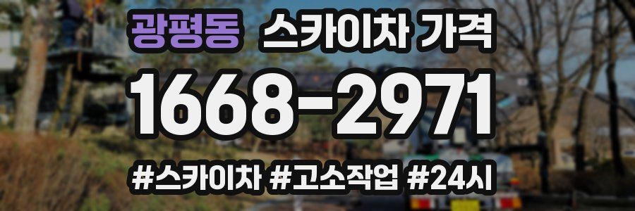 광평동 스카이차 가격